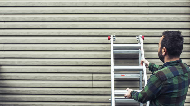 Professional Siding Services in Edinburg, VA